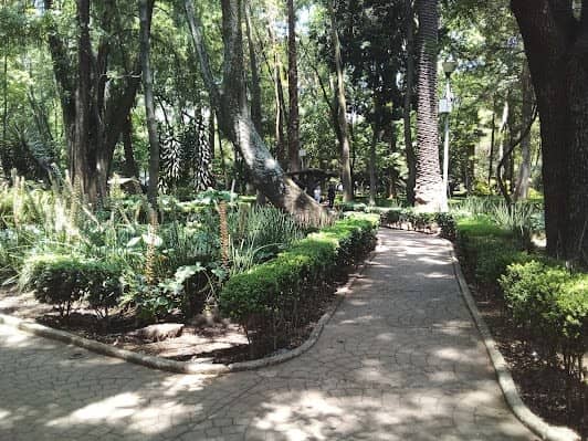 Parque mexico photo 3