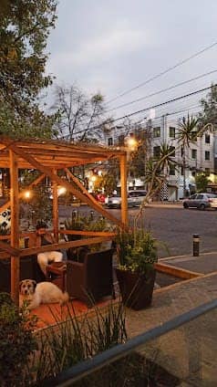 La Condesa photo 5