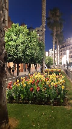 Seville & Madrid & Valencia, Spain 16-day travel plan covering Top attractions and Shopping itinerary cover
