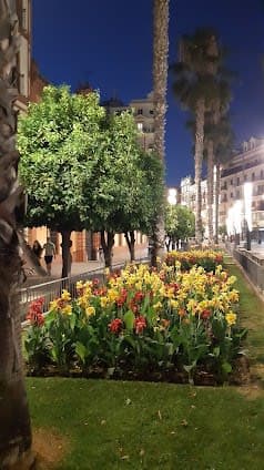 Seville & Madrid & Valencia, Spain 16-day travel plan covering Top attractions and Shopping - 16 days travel itinerary in Seville, Spain featuring Iconic Landmark and Museum