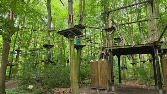 Klimpark Fun Forest Amsterdam photo 6