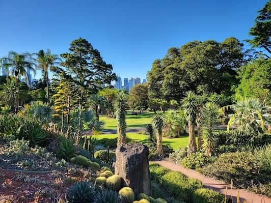 Royal Botanic Gardens Victoria - Melbourne Gardens photo 7