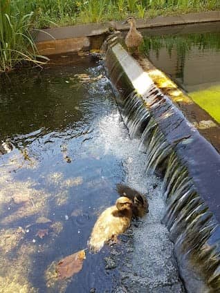 Parc de Gerland photo 5