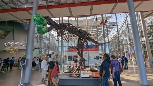 California Academy of Sciences photo 2