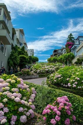 Lombard Street photo 2
