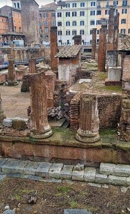 Largo di Torre Argentina photo 5