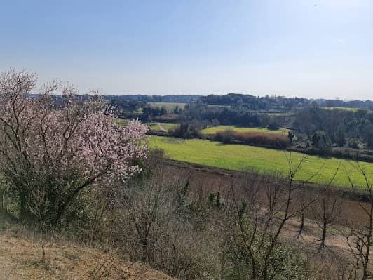 Parco della Caffarella photo 7
