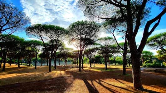 Villa Doria Pamphili photo 3