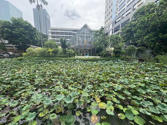 Living Plant Museum photo 3