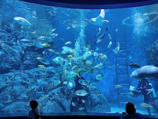 SEA LIFE Bangkok Ocean World