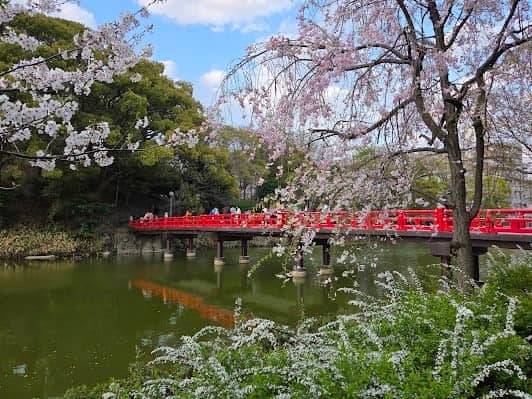 Tennoji Park photo 2