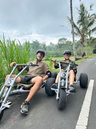 Jungle Cart Office