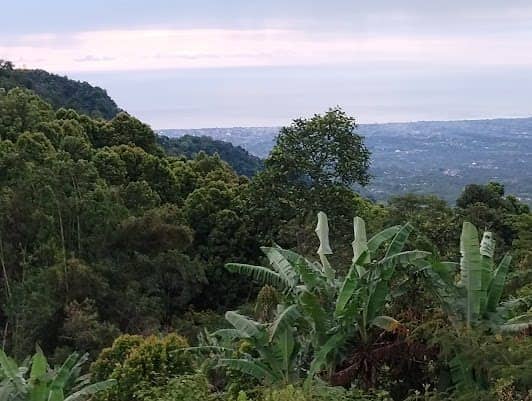 Bali jungle Trekking and canoeing photo 5
