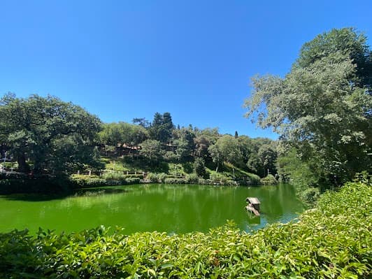 İBB Yıldız Grove