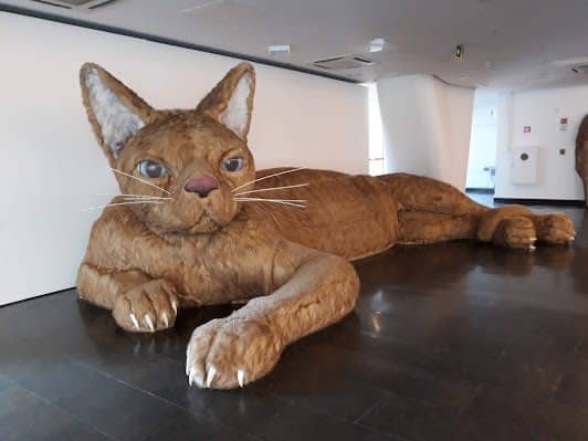 São Paulo Museum of Modern Art photo 4