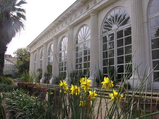Orto Botanico di Napoli photo 6