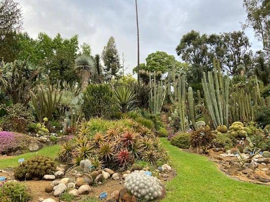 Orto Botanico di Napoli photo 2