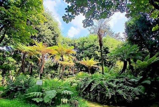 Orto Botanico di Napoli photo 3
