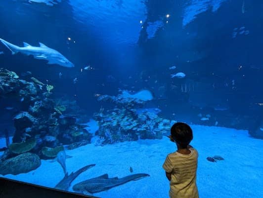 Aquaria Phuket photo 6