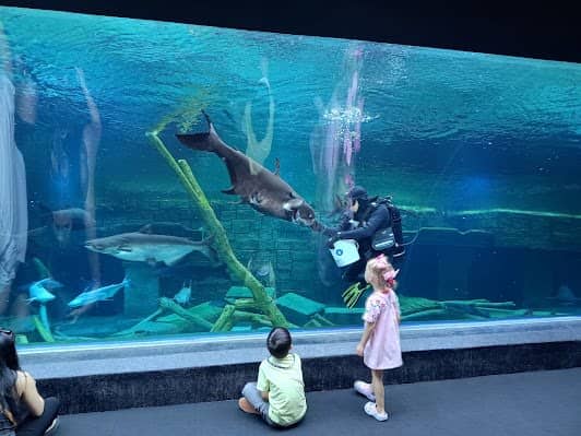 Aquaria Phuket photo 7