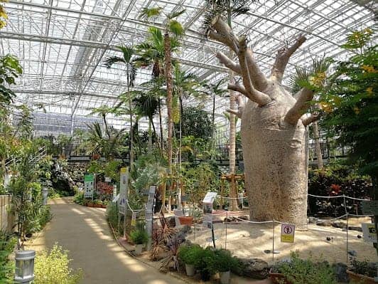 Hiroshima Botanical Garden photo 4