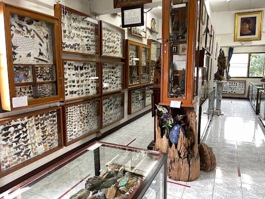 Museum of World Insects and Natural Wonders photo 5