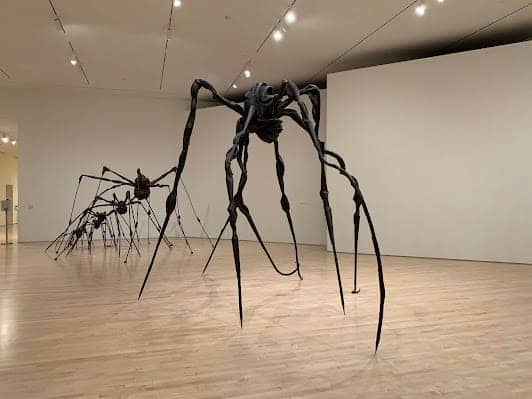 San Francisco Museum of Modern Art photo 4