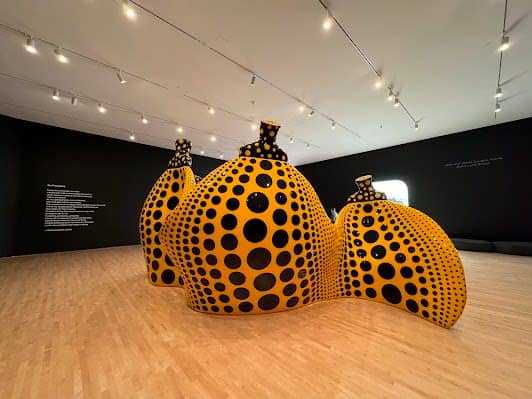 San Francisco Museum of Modern Art photo 5