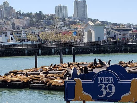 PIER 39 photo 3