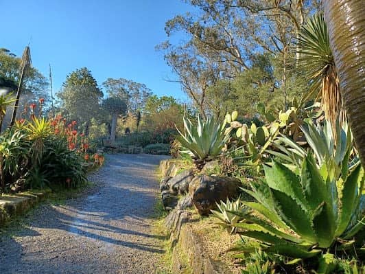 San Francisco Botanical Garden photo 3