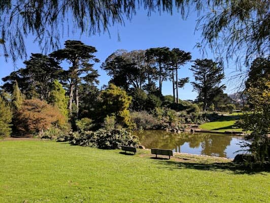 San Francisco Botanical Garden photo 5