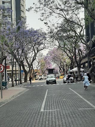 12-day itinerary in Johannesburg, South Africa focusing on Top attractions and Nature and outdoor - 12 days travel itinerary in Johannesburg, South Africa featuring Museum and Entertainment