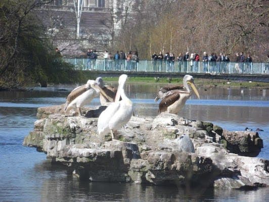 London, UK 12-day family friendly travel plan covering Top attractions and Shopping and For kids itinerary cover