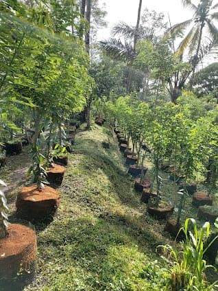 Royal Spice Gardens