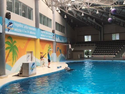Istanbul Dolphinarium photo 3