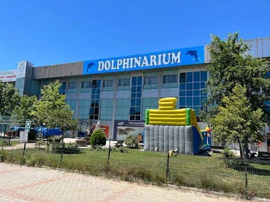 Istanbul Dolphinarium photo 4
