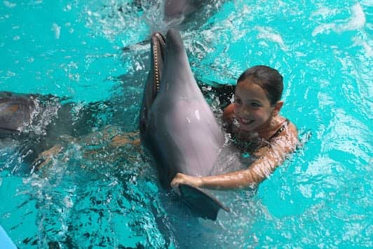 Istanbul Dolphinarium photo 2