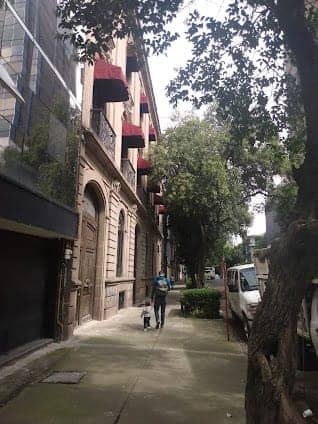 Roma Norte photo 3