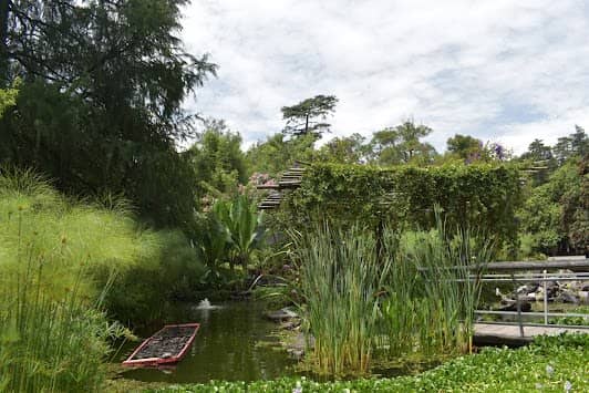 Jardín Botánico del Bosque de Chapultepec photo 6