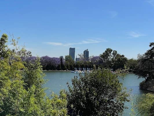 Bosque de Chapultepec II Sección photo 6