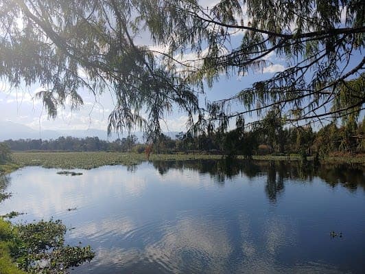 Parque Ecológico de Xochimilco