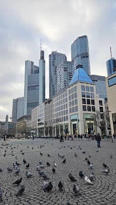Große Bockenheimer Straße photo 6