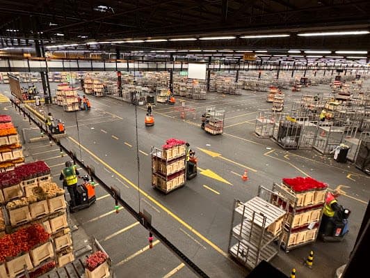 Aalsmeer Flower Auction
