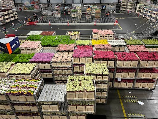 Aalsmeer Flower Auction photo 2