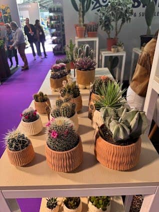 Aalsmeer Flower Auction photo 5