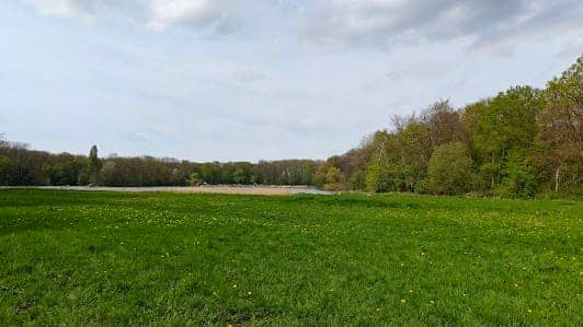 Klimpark Fun Forest Amsterdam photo 4