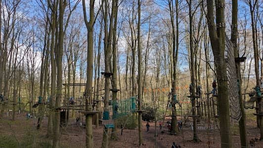 Klimpark Fun Forest Amsterdam photo 5