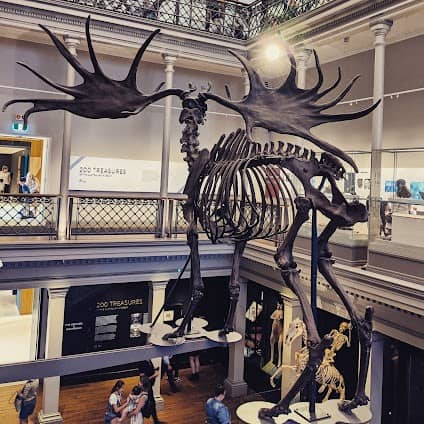 Australian Museum photo 7