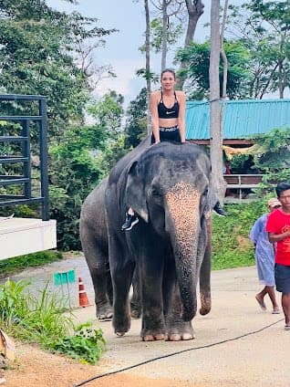 Camp Chang Kalim - elephant camp
