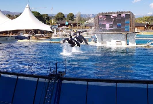 Marineland photo 2